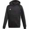Begroting 🎁 Adidas Core Training Hoody Kids ✔️ -Adidas Shop 100099 1 8